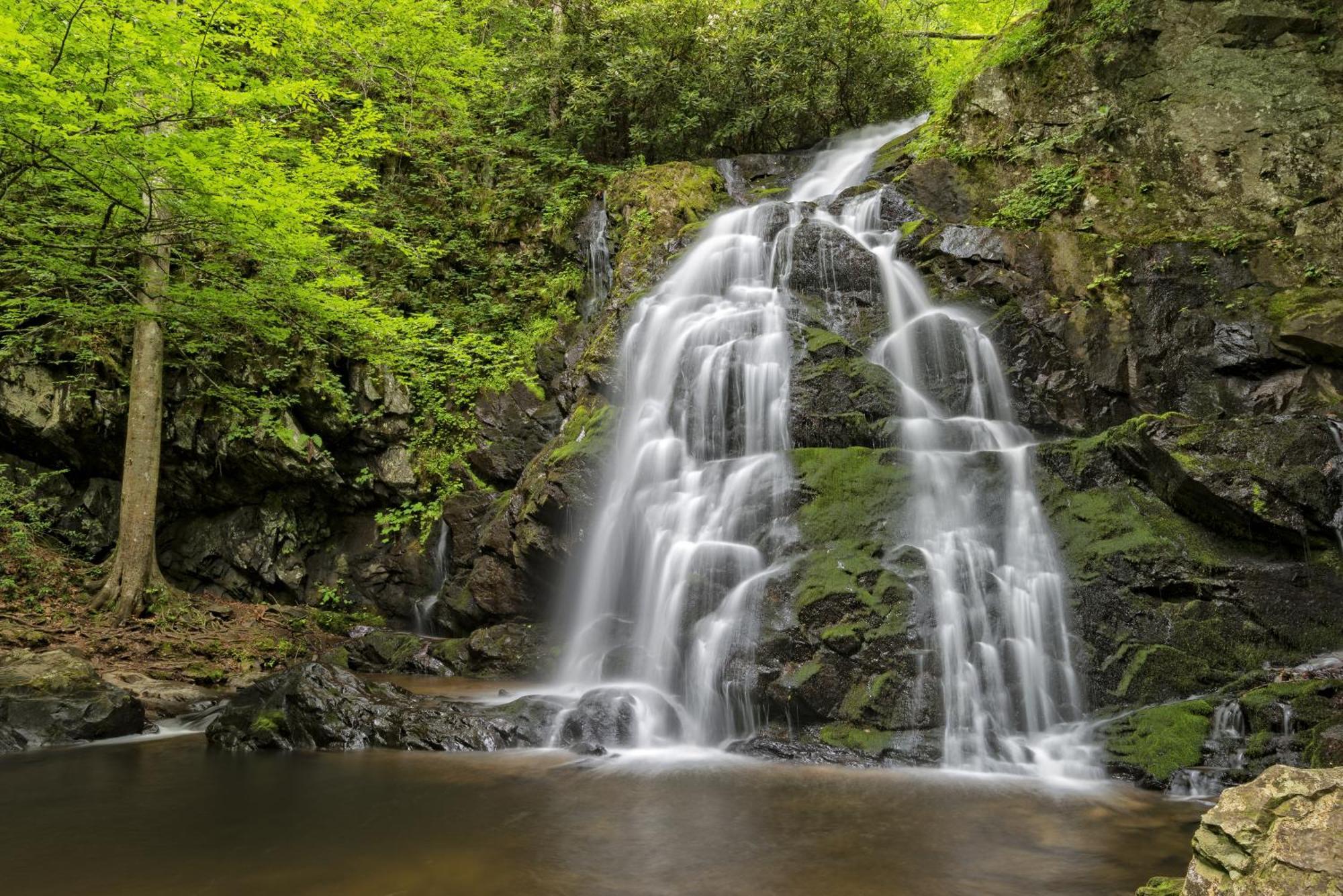 Time To Cuddle, Wifi, Near Pigeon Forge, 1089 Free Tickets Each Paid Day, Dollywood And More Buitenkant foto
